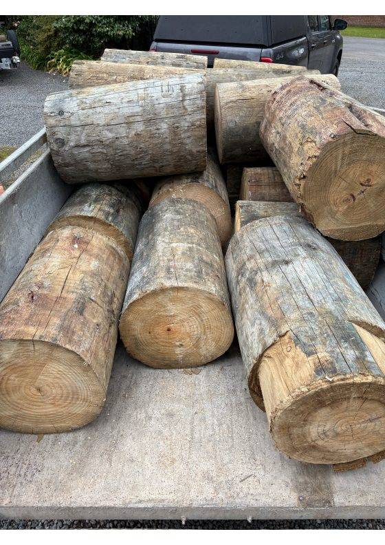50 Offcuts of 400SED Piles, 600-900m sizes